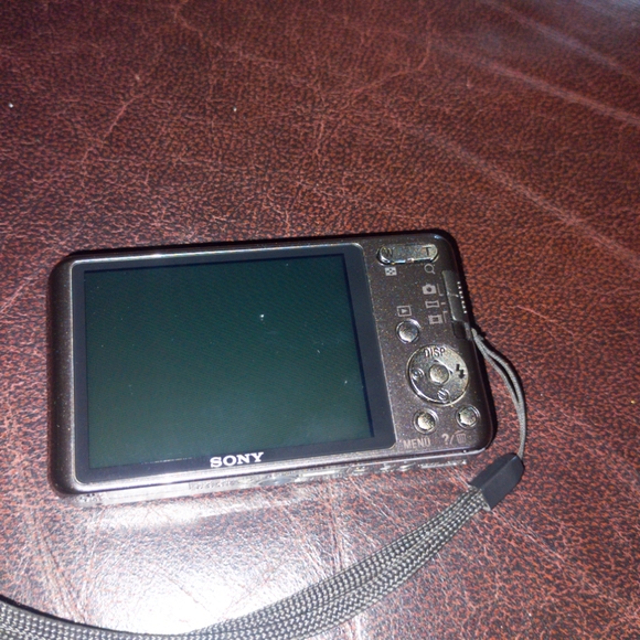 Sony Cyber-Shot DSC-W570 16.1 MP Digital Still Camera with Carl Zeiss Vario-Tess - Picture 11 of 12